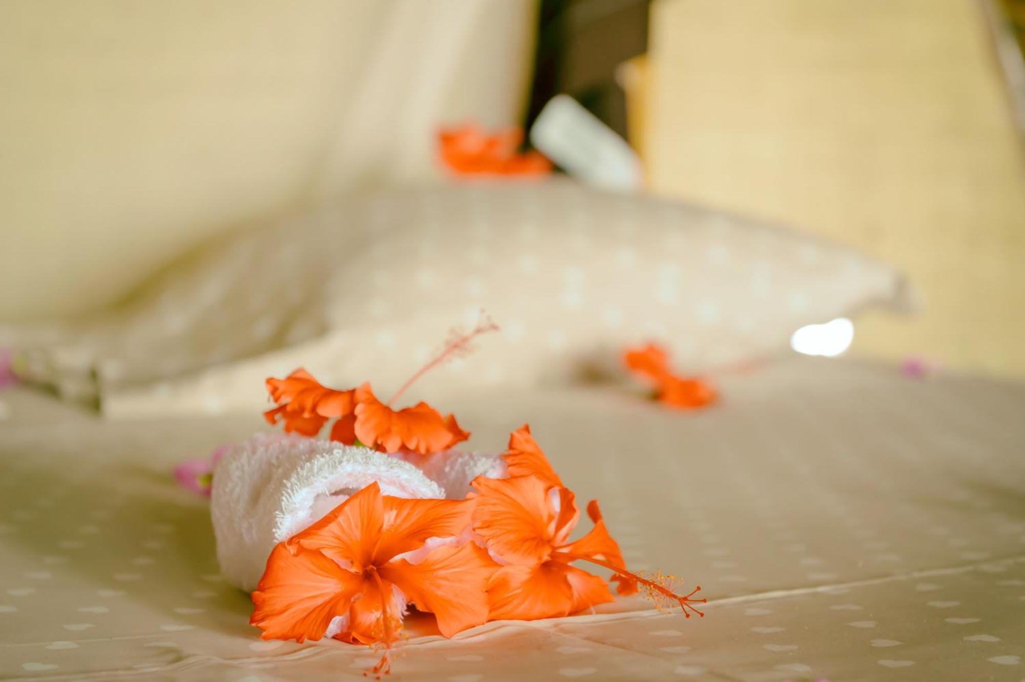 Coin Sauvage Hotel Ambatozavavy Екстериор снимка
